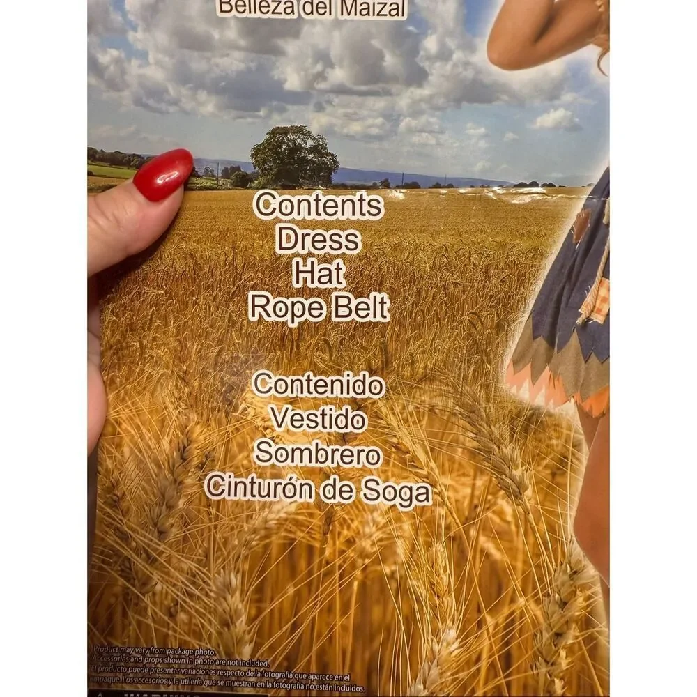 Scarecrow Cornfield Cutie Women’s Costune sz L 12-14 EUC